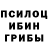 Галлюциногенные грибы GOLDEN TEACHER Vladilena Webster