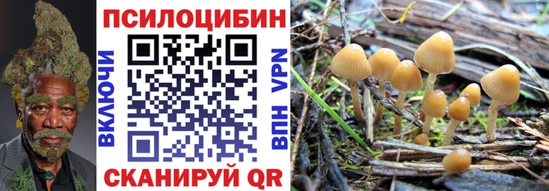 Псилоцибиновые грибы Psilocybe  Тарко-Сале 